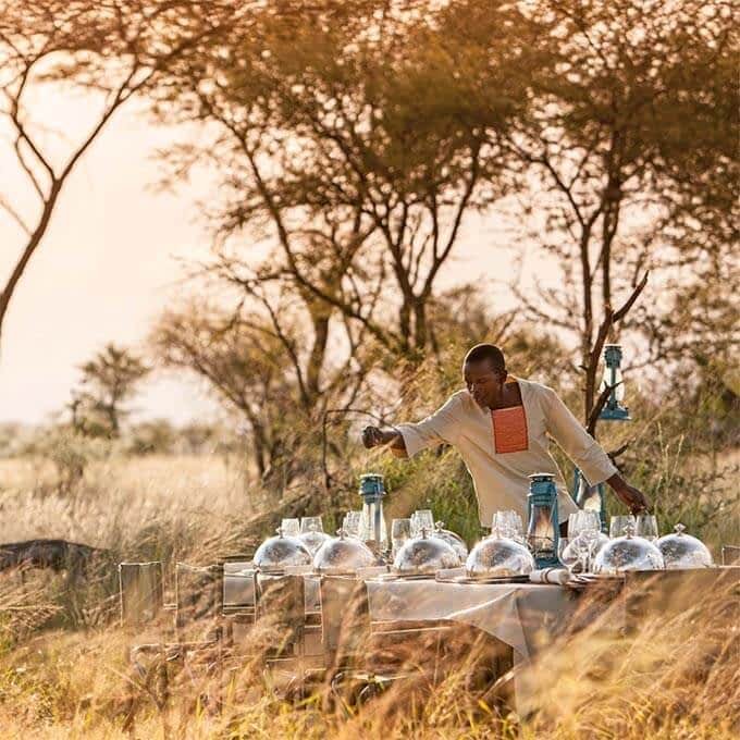 Namiri Plains  Luxury Camp - Gallery Image 2